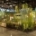 Our space at the Salone del Mobile.Milano: green, fresh and sustainable