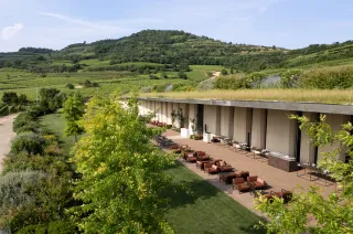 Cantina Pieropan Soave