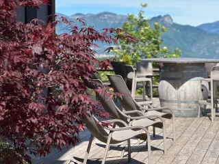 chair Net Lounge TORTORA