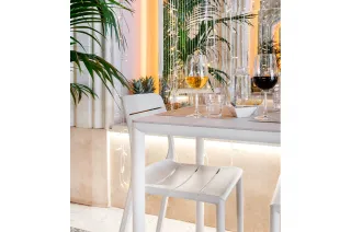 Ginger Corte Laica  5